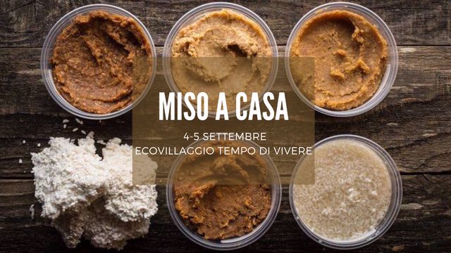 miso a casa