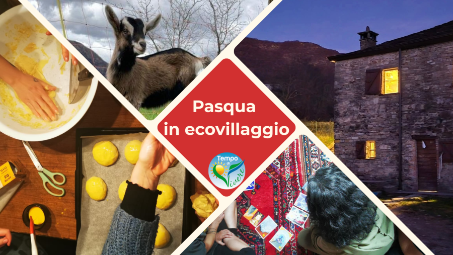 pasqua 26_ copertina