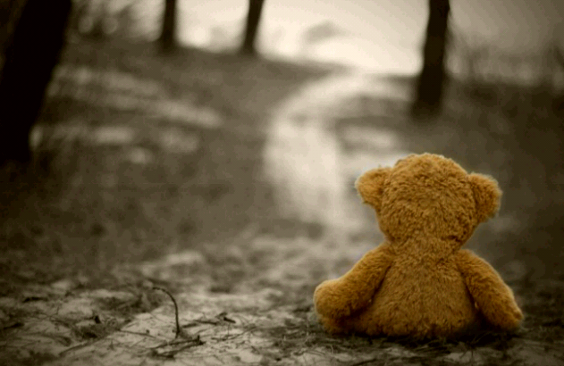 Solitudine orsetto