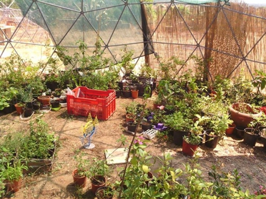 giradino-cupola-geodetica