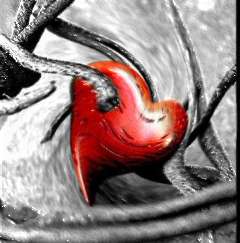 cuore_spinato