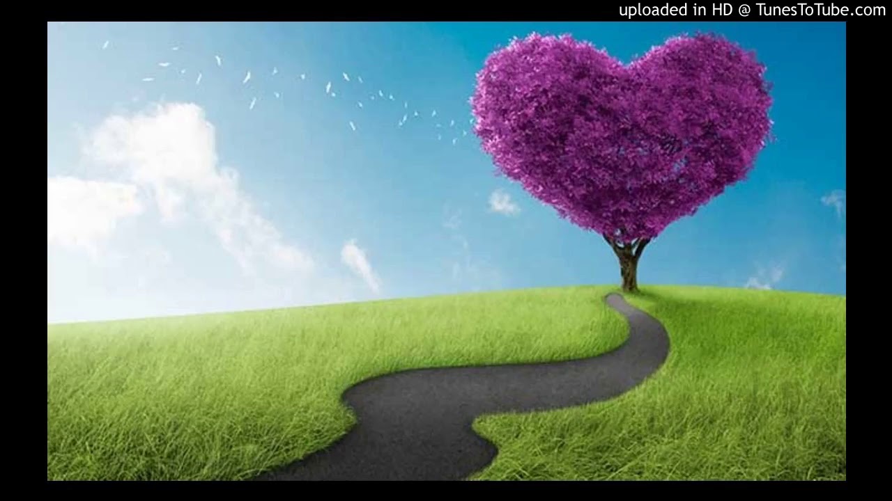 Viaggio verso il cuore