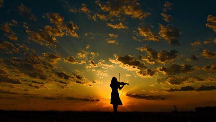 tramonto violino
