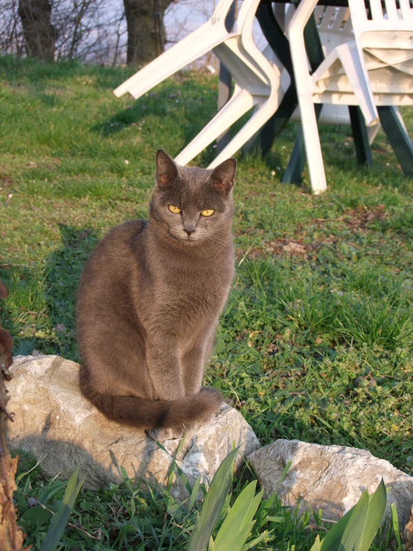 ECOVILLAGGIO FELINO FUMINA