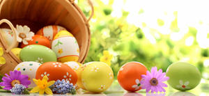 pasqua insieme